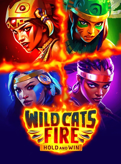 Dragon Tiger live card game cover